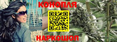 гашик Пенза