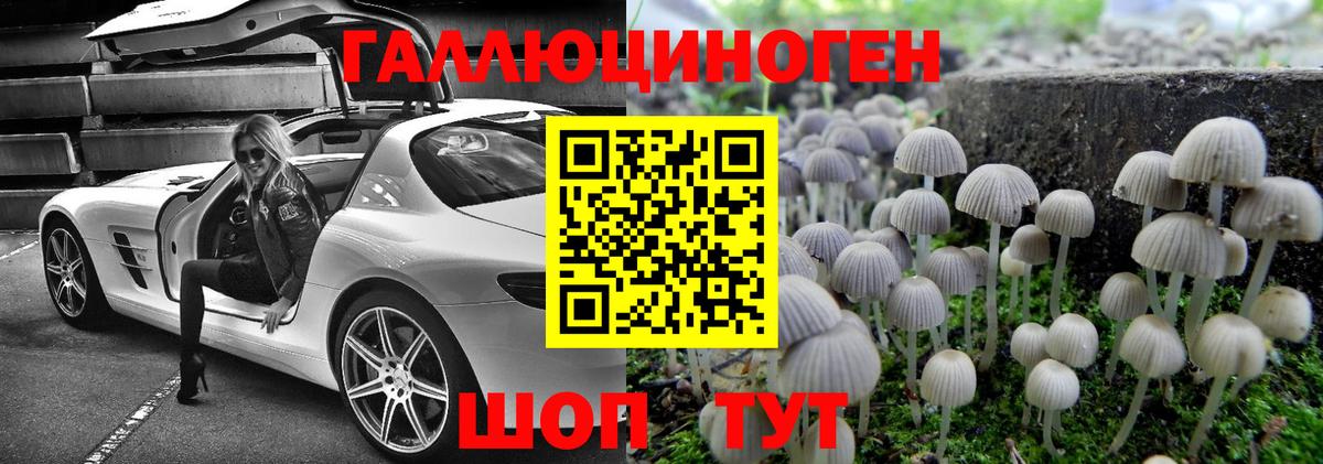 где можно купить наркотик  Вход с VPN  Галлюциногенные грибы Cubensis  Советск  Псилоцибиновые грибы мицелий 